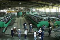 توسعه پایدار نباید منجر به تخریب محیط زیست شود