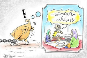 جای خالی نظارت کارشناسان، قیمت مرغ را نجومی کرد