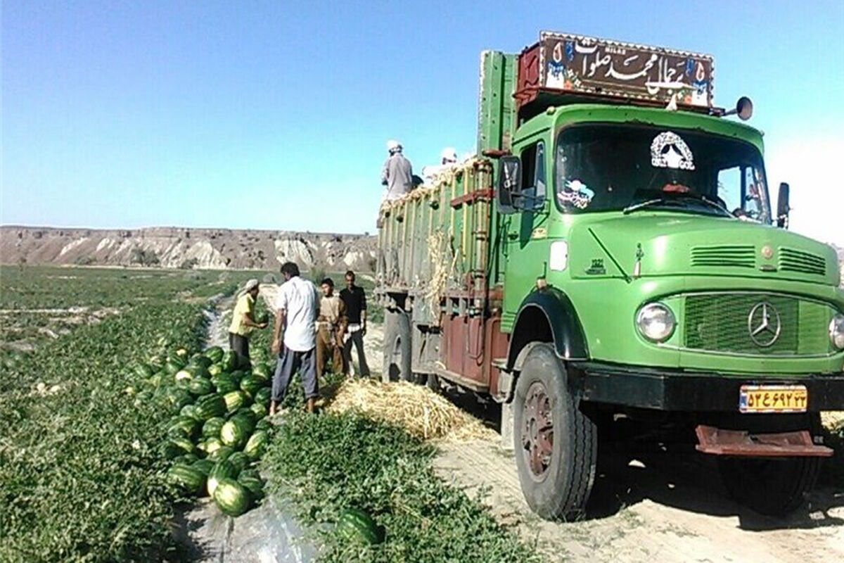 محصول کشاورزی