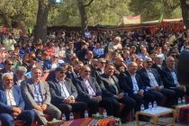 ضرورت ارتقاء جایگاه جهانی ایران در تولید انگور و توسعه صادرات 