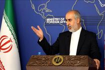 تبادل زندانیان کاملا انسانی است و نباید دستمایه بازی‌های سیاسی قرار گیرد/آریکا از ماه مارس سال گذشته به دنبال تبادل است