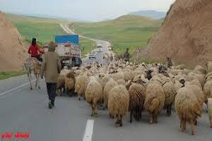 خدمات به عشایر با داشتن تردد کارت عشایر ارایه می شود