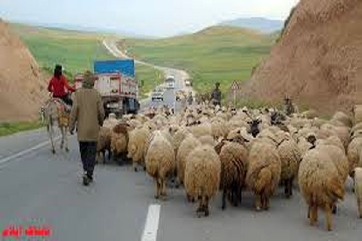 عشایر ایلام