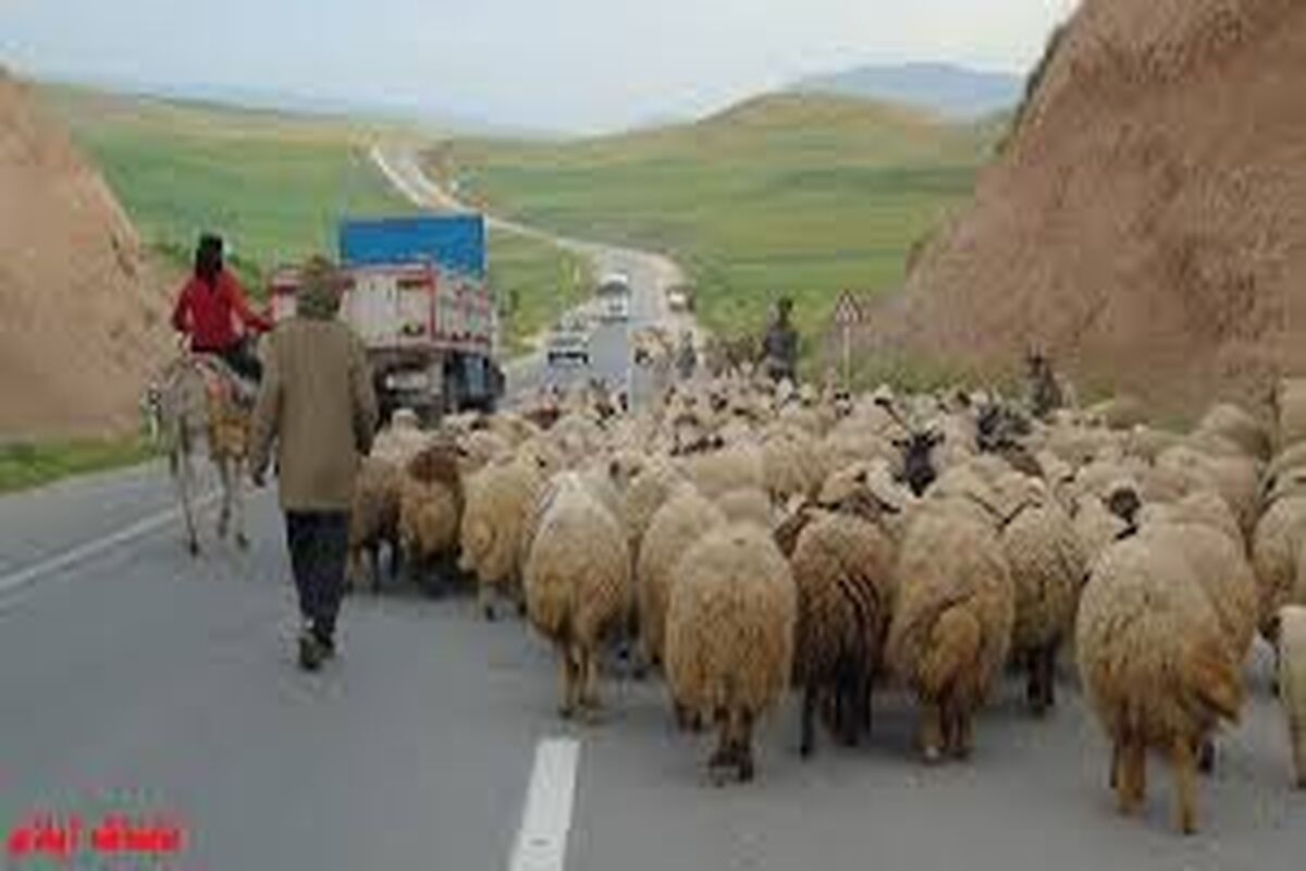 عشایر ایلام