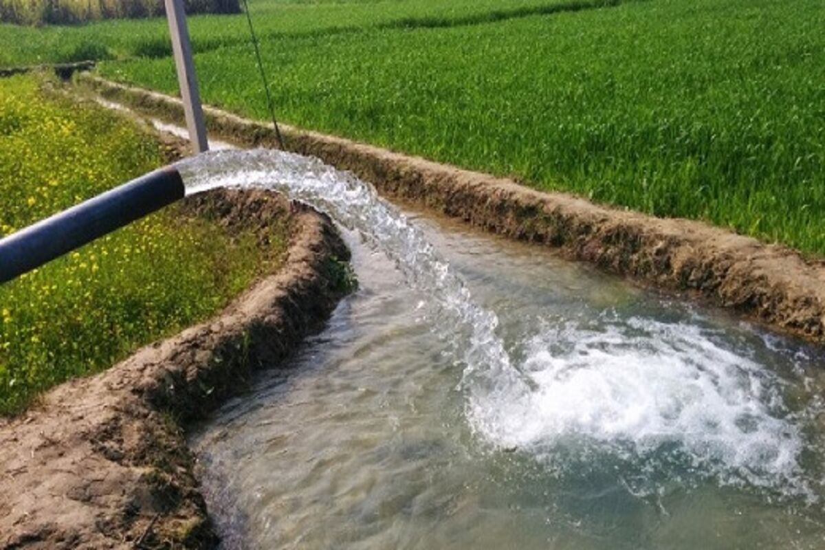 کشت تابستانه