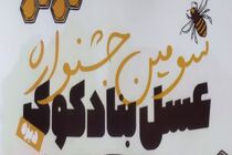 ۲۷ الی ۳۰ بهمن سومین جشنواره عسل بنادکوک دیزه برگزار می شود 