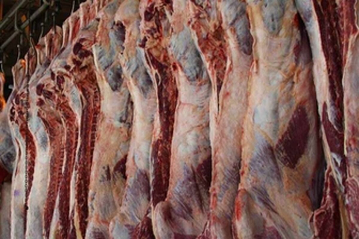 گوشت گوسفندی