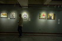 فراخوان دومین سالانه هنرهای تجسمی ساتین منتشر شد