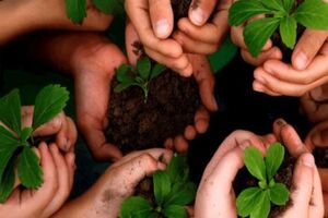 زائران، سفیران احیای جنگل‌های هیرکانی می‌شوند