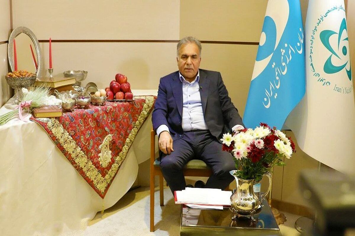 سیدجواد احمدی، معاون سازمان انرژی اتمی ایران