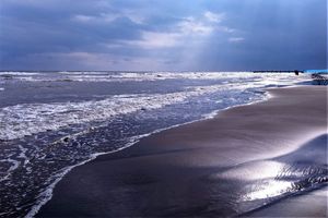 تامین حقابه تالاب میانکاله برای مدیریت کاهش تراز آب خزر پیگیری می‌شود