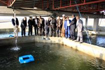 افتتاح 8 پروژه عمران روستایی در صومعه سرا