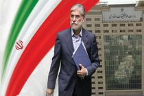 تاب‌آوری انسان ایرانی بر پایه هویتش حفظ شده است