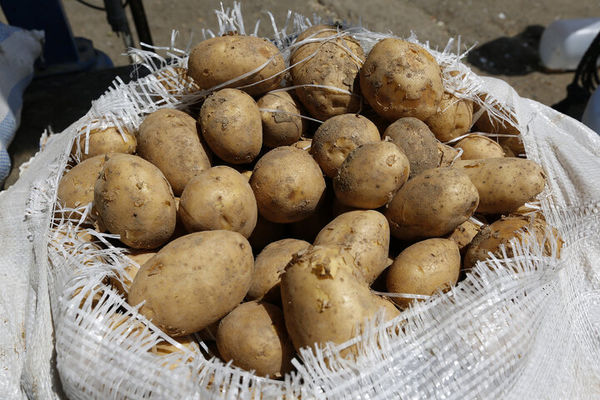 صادرات سیب زمینی و انواع حبوبات ۲ ماه ممنوع شد