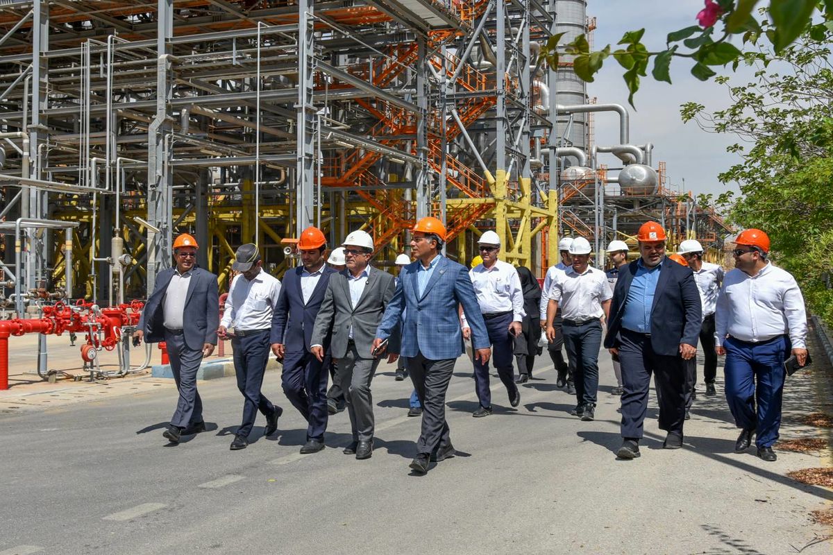 هلدینگ پتروفرهنگ