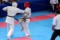 کاراته‌کاهای اعزامی به قهرمانی آسیا مشخص شدند