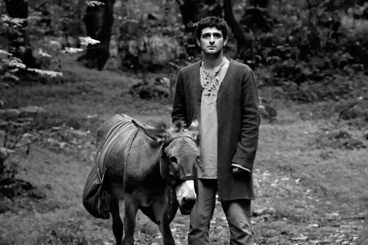 فیلم به باد هم بگو