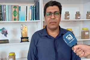 خرید ۹۵۰۰ تن کلزا و پرداخت نقدی مطالبات کشاورزان ایلامی