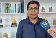 خرید ۹۵۰۰ تن کلزا و پرداخت نقدی مطالبات کشاورزان ایلامی