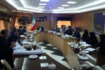 بررسی اجرای طرح دهکده سازه های چوبی و سنتی 