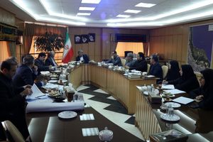 بررسی اجرای طرح دهکده سازه های چوبی و سنتی 