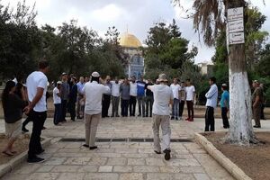 عربستان و مصر از جامعه بین‌المللی برای جلوگیری از تخلفات رژیم صهیونیستی  درخواست کرد