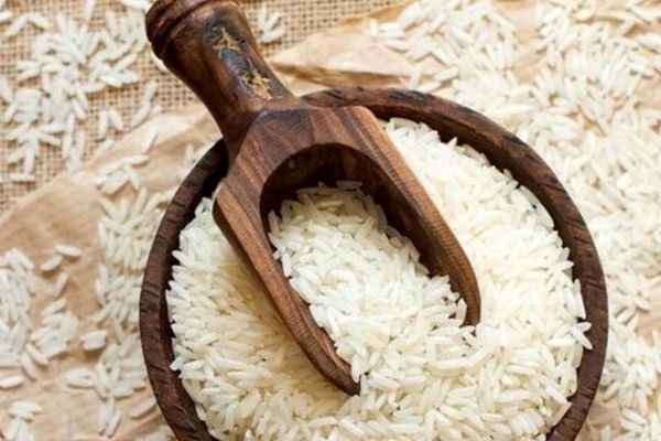 واردات برنج در فصل برداشت آزاد شد