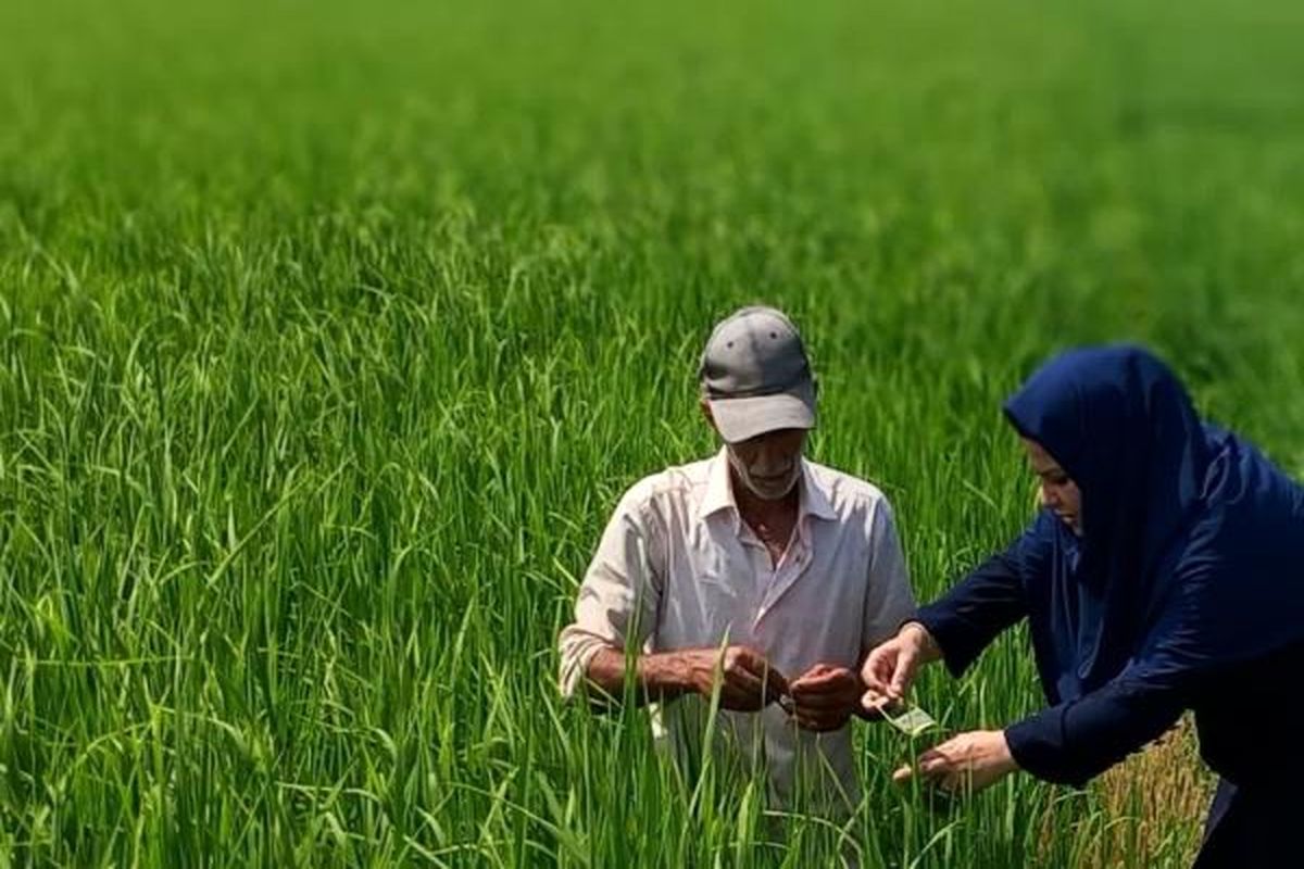 جهاد کشاورزی فریدونکنار