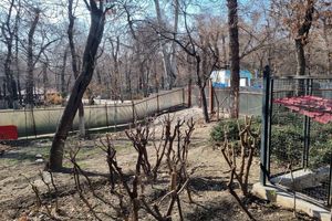 سخنگوی شهرداری تهران درباره ساخت مسجد در پارک قیطریه توضیح داد