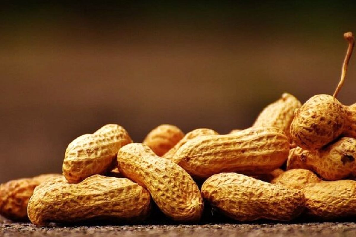 آلرژی غذایی