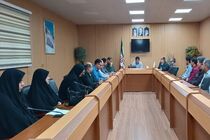 جلسه کارگروه جوانی جمعیت شهرستان مهران برگزار شد