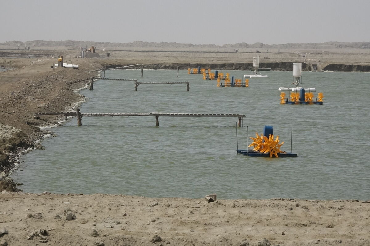 پرورش ماهی