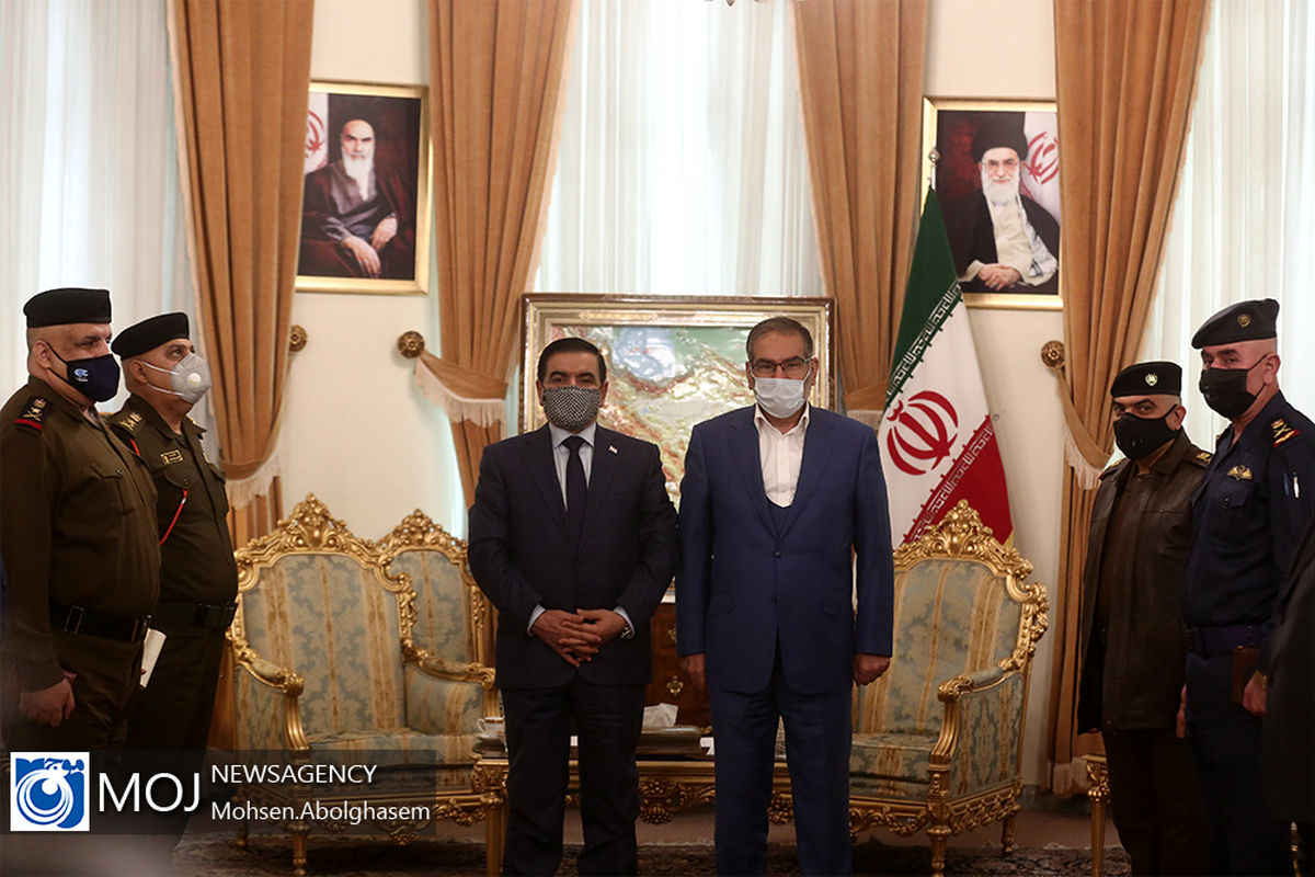 دیدار وزیر دفاع عراق با علی شمخانی