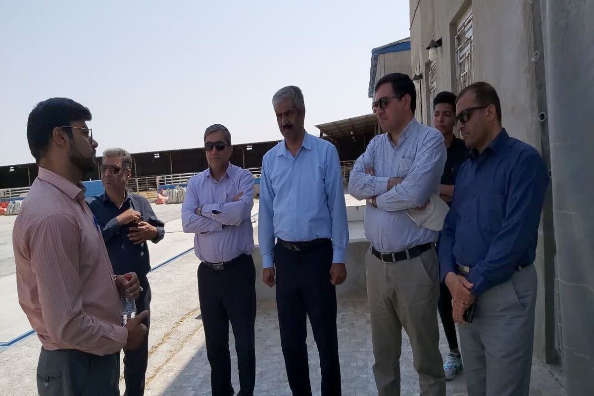 جهاد کشاورزی فارس
