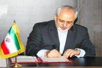 وزیر امور خارجه درگذشت فرزند عضو مجمع تشخیص مصلحت نظام را تسلیت گفت