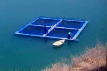 اولین پروانه بهره‌برداری پرورش ماهی در قفس استان صادر شد