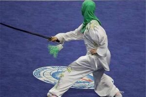 حضور ووشوکار شاهین شهری در اردوی تیم ملی