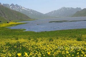 اجرای موفقیت آمیز طرح احیای تالاب نئور همچنان ادامه دارد