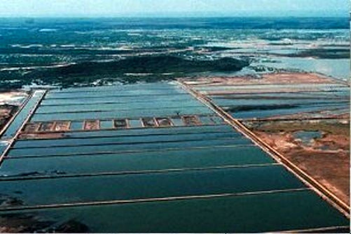 طرح های شیلاتی