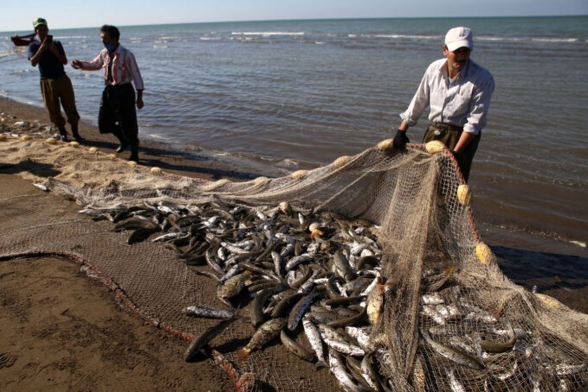 صید و صیادی 