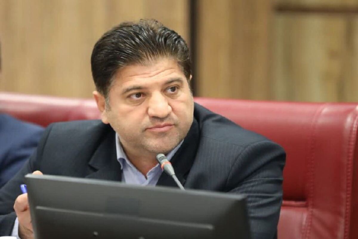 شریفی