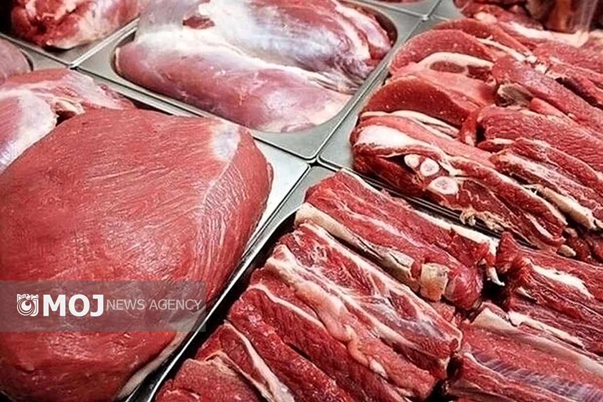 بازار گوشت در آستانه کاهش قیمت چشمگیر + فیلم
