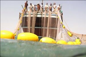 ایران دارنده رتبه اول صید فانوس ماهیان در اقیانوس هند است