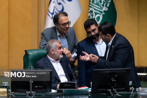 نمایندگان مجلس با وجود همترازی با وزرا دریافتی کمتری دارند