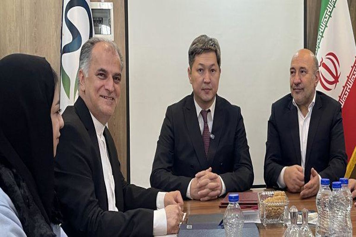 منطقه آزاد ماکو