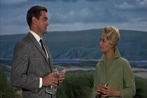 دانلود زیرنویس فیلم The Birds 1963