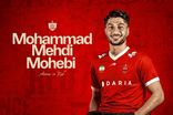 محمد مهدی محبی به پرسپولیس پیوست
