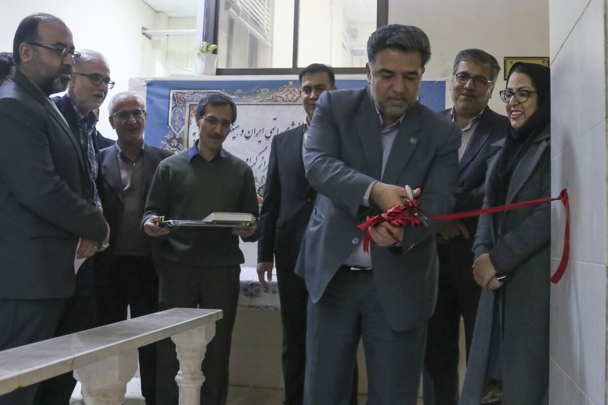 دانشگاه شیراز