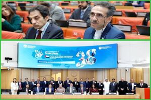 فائو جای سیاست‌بازی نیست