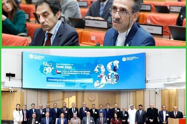 فائو جای سیاست‌بازی نیست